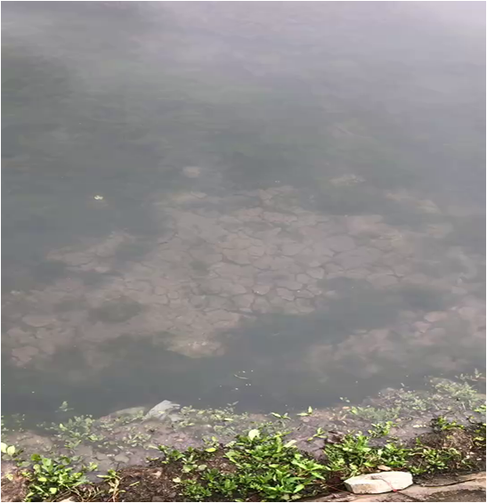 黑臭湖庫-六盤水卡達凱斯人工湖治理項目