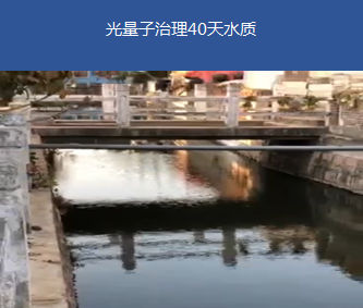 藍藻治理-蘇州震澤某河道治理項目