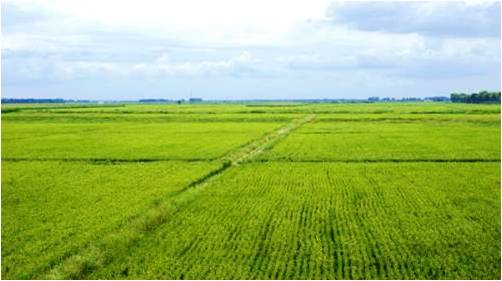 污水處理設備解決了環(huán)境污染問題